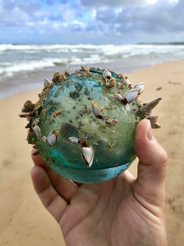 Curious Things Found At The Beach