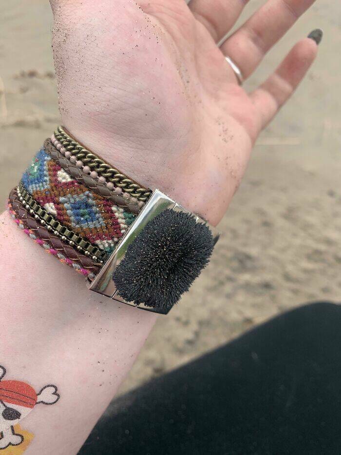 Curious Things Found At The Beach