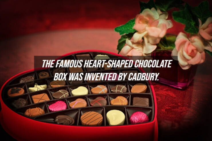 Sweet, Sweet Chocolate Facts