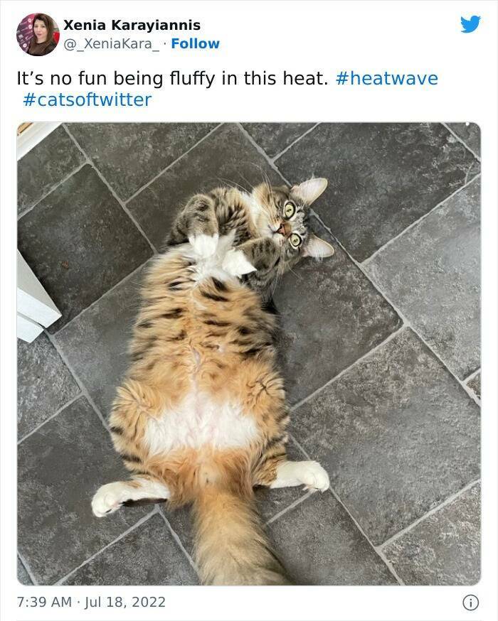 Brits Are Sharing Their Record-Breaking Heatwave Experiences