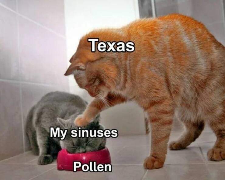 Just Texas Things…