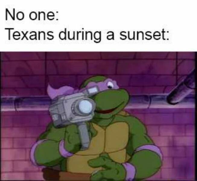 Just Texas Things…