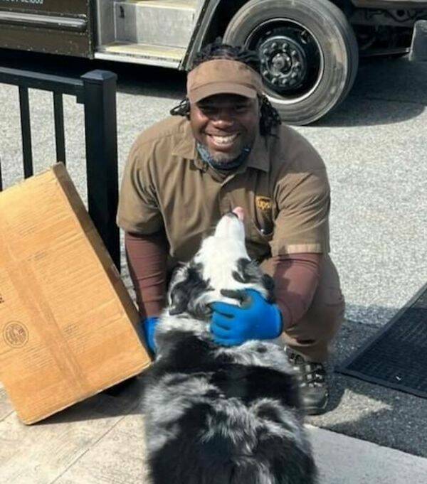 Dogs + Delivery Drivers = Love