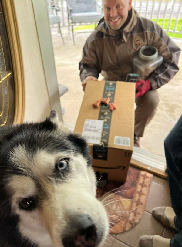 Dogs + Delivery Drivers = Love