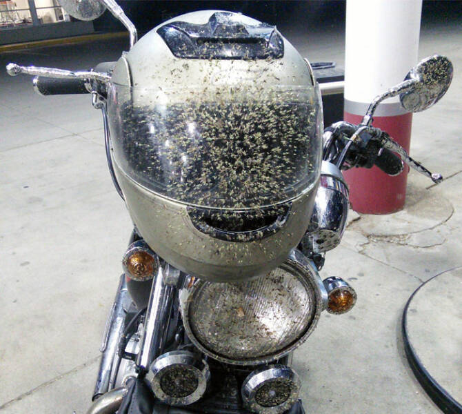 Always Wear A Helmet!