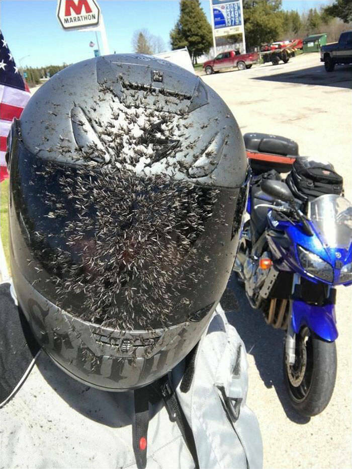 Always Wear A Helmet!