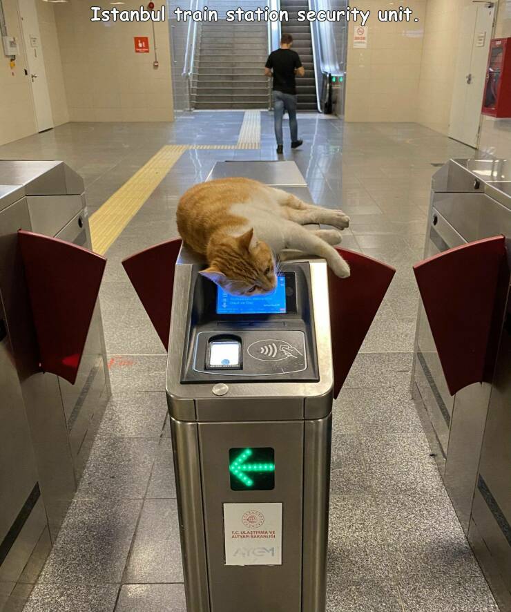 Daily Picdump