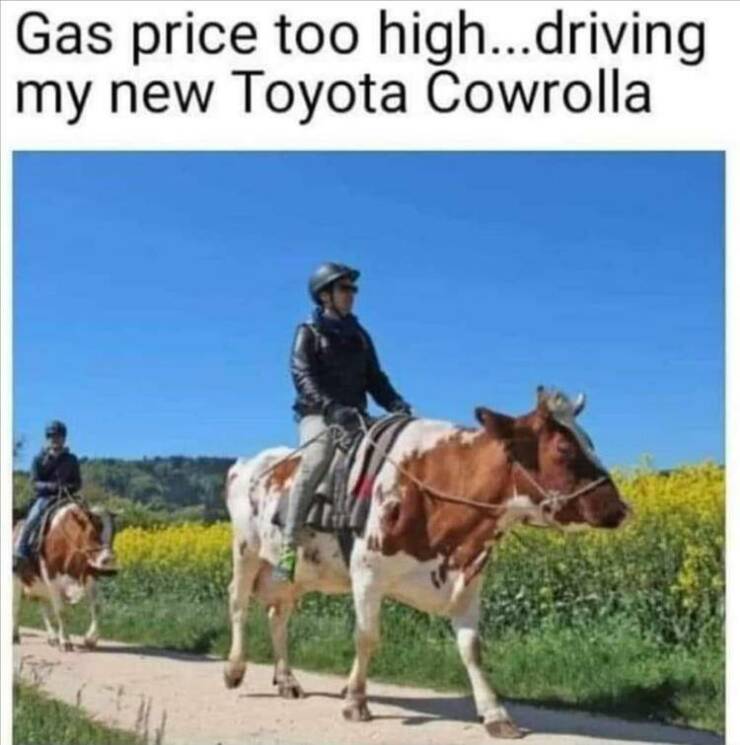 Funny Picdump Funny Picdump