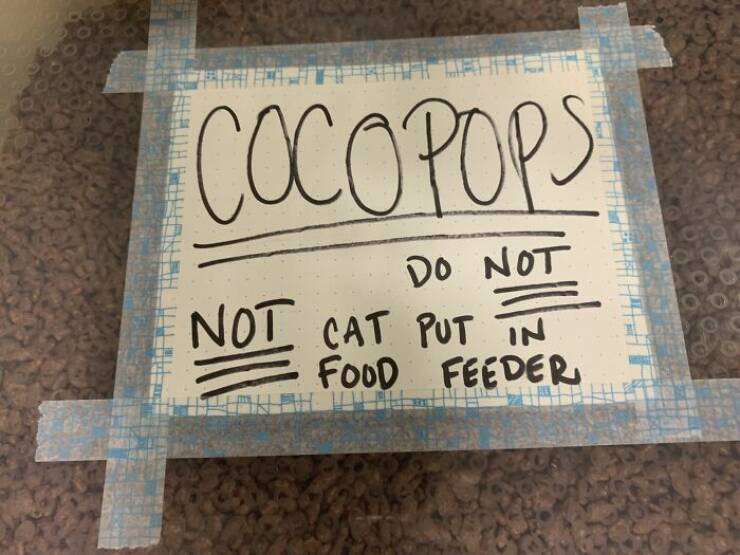 Nothing Can Save These Design Fails…