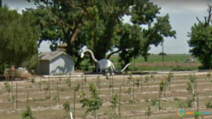 Strangest Things Found On “Google Earth”