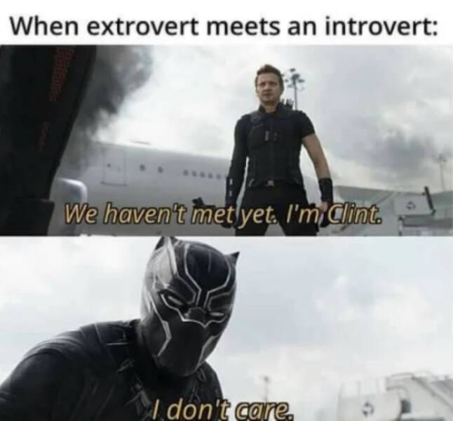 Introverts, Your Memes Are Here!