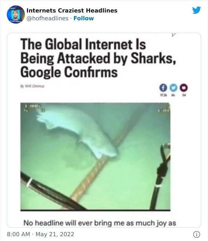 Internet’s Craziest Headlines