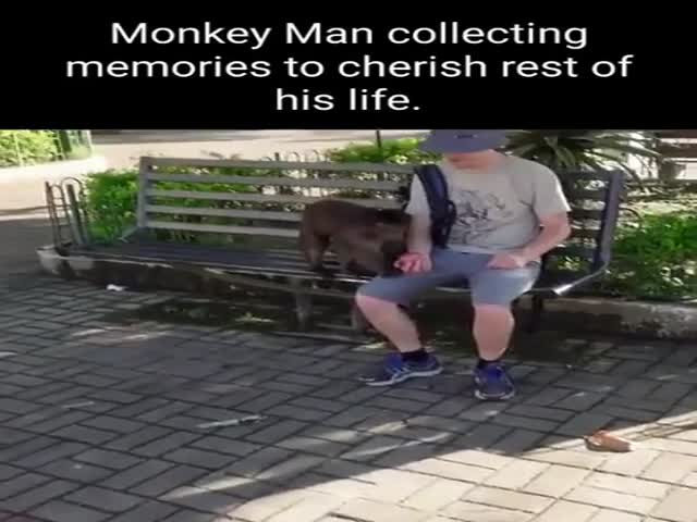 Monkey Dad
