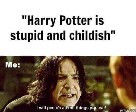 These “Harry Potter” Memes Are Not For Muggles! (29 PICS