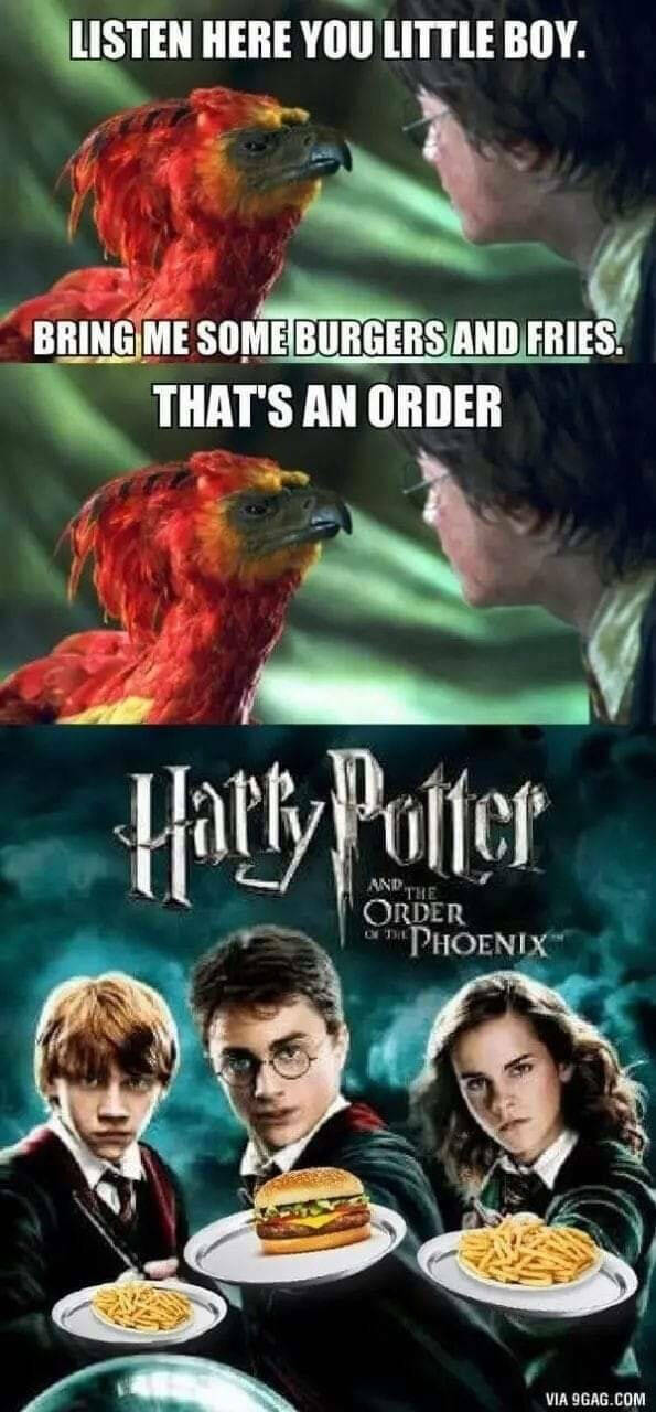 These “Harry Potter” Memes Are Not For Muggles!