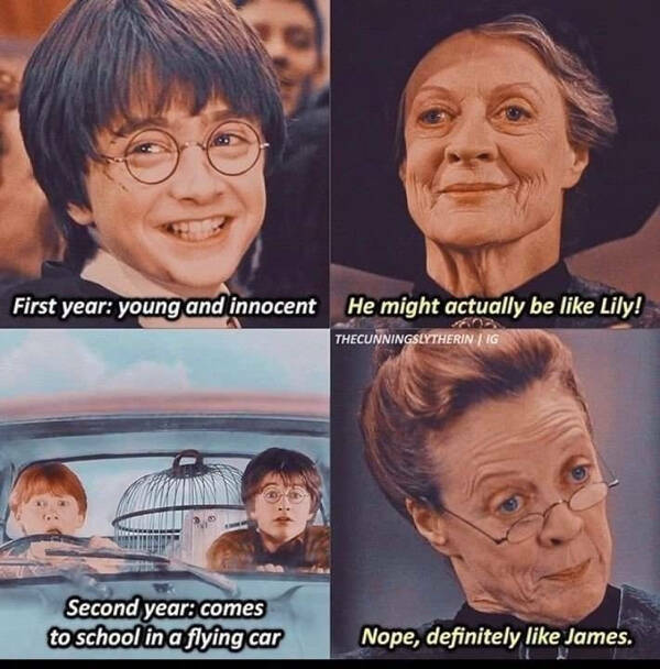 These “Harry Potter” Memes Are Not For Muggles!