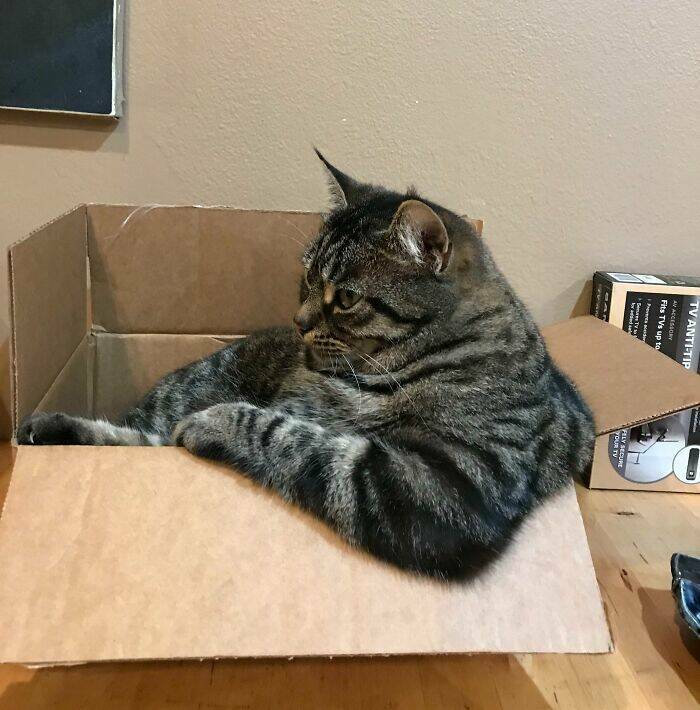 If I Fits, I Sits