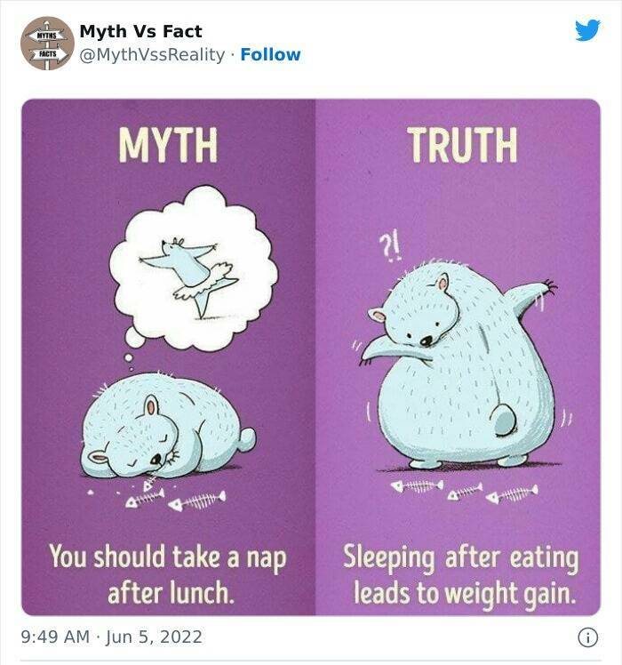 Myths Vs Reality