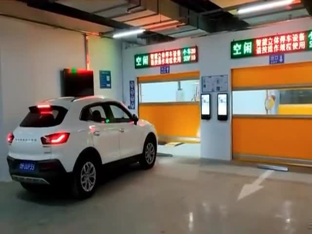 Chinese Automatic Parking