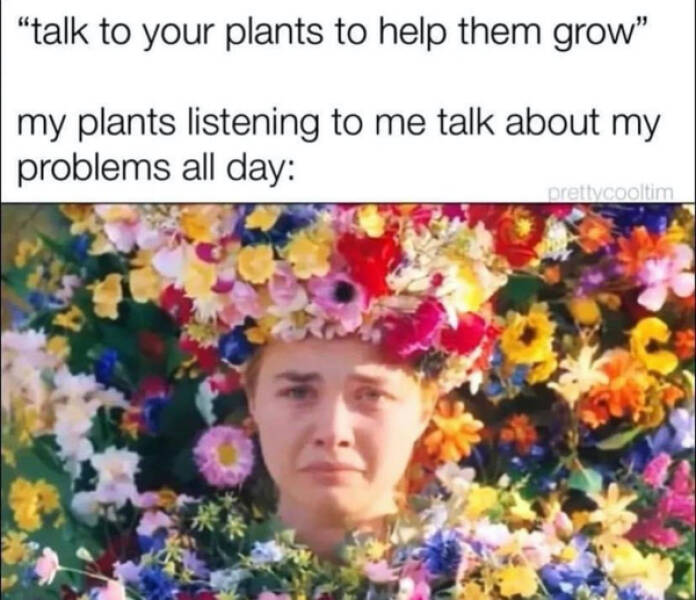 Jokes For All The Plant Lovers Out There