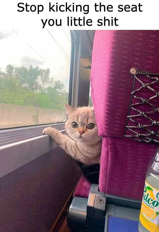 Funny Picdump Funny Picdump