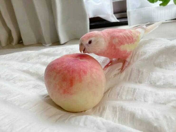 Accidental Surrealism