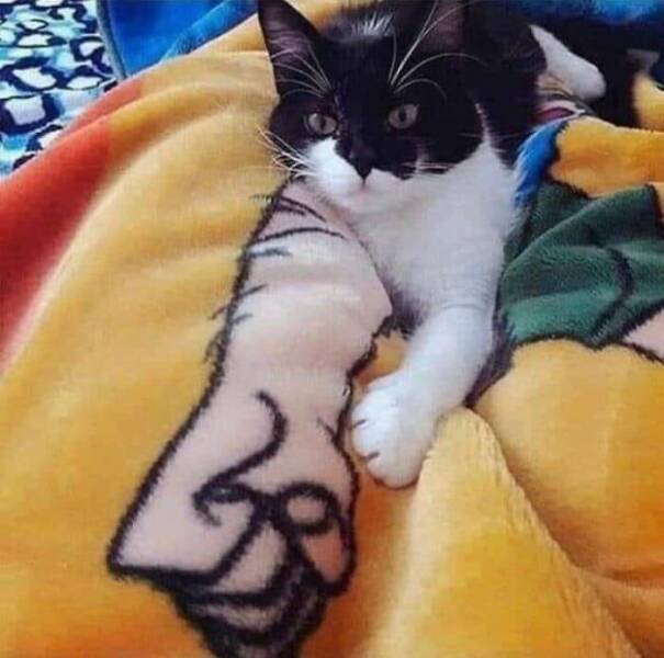 Accidental Surrealism