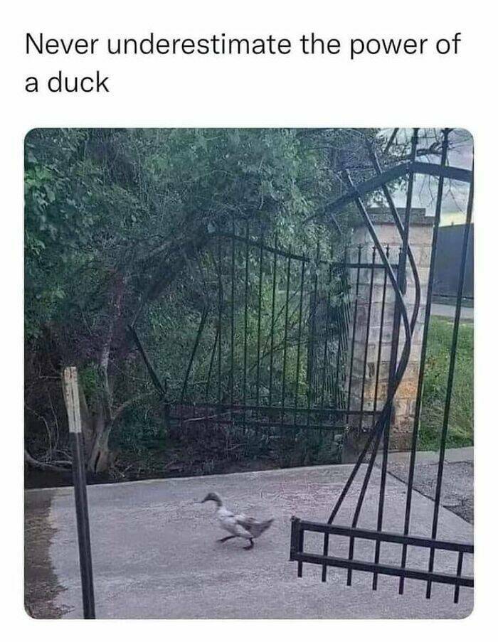 Accidental Surrealism