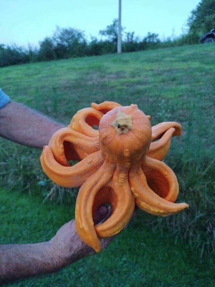 Accidental Surrealism