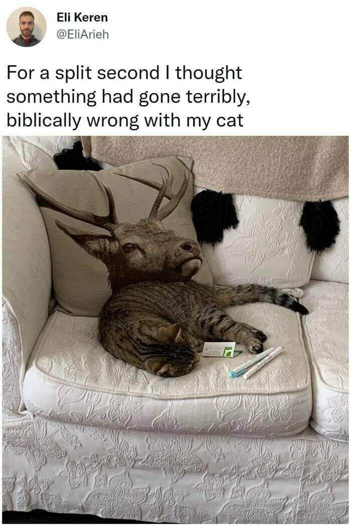 Accidental Surrealism