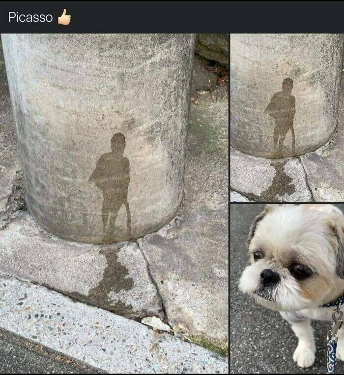 Accidental Surrealism