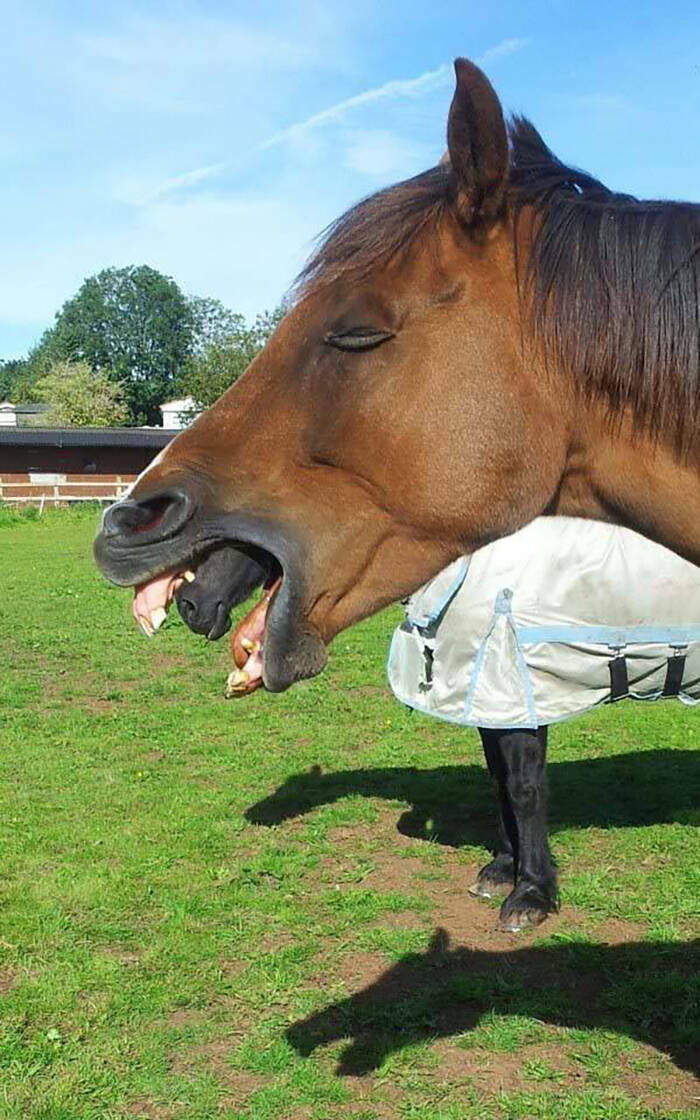 Accidental Surrealism