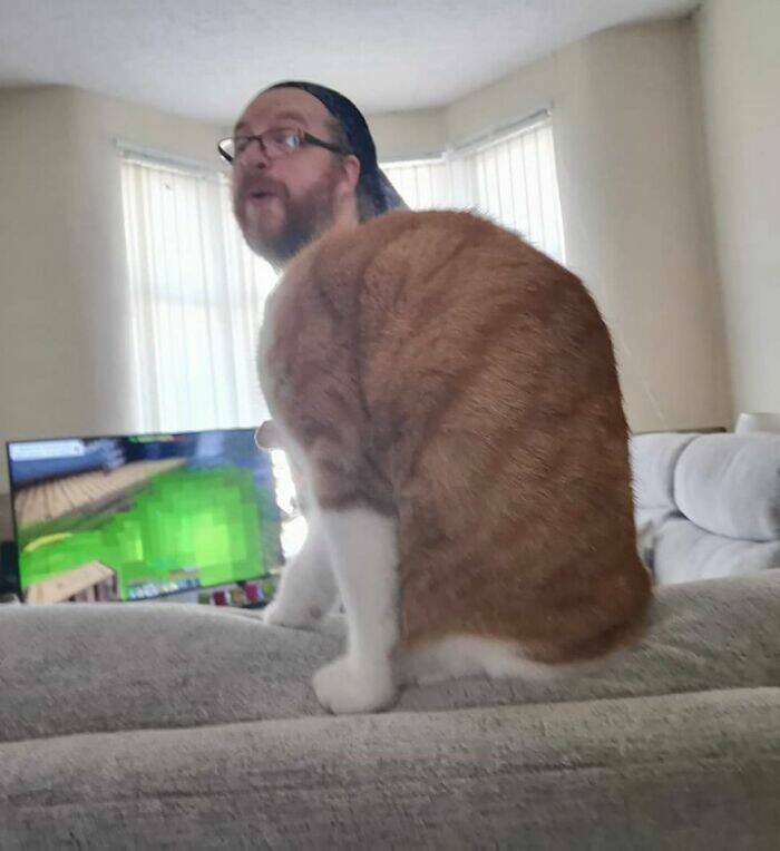 Accidental Surrealism