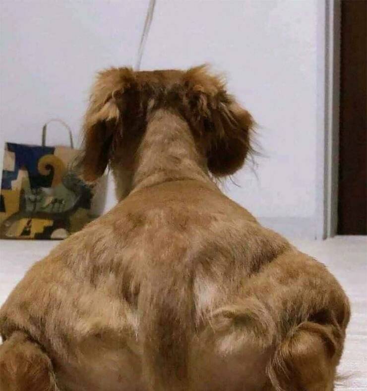 Accidental Surrealism