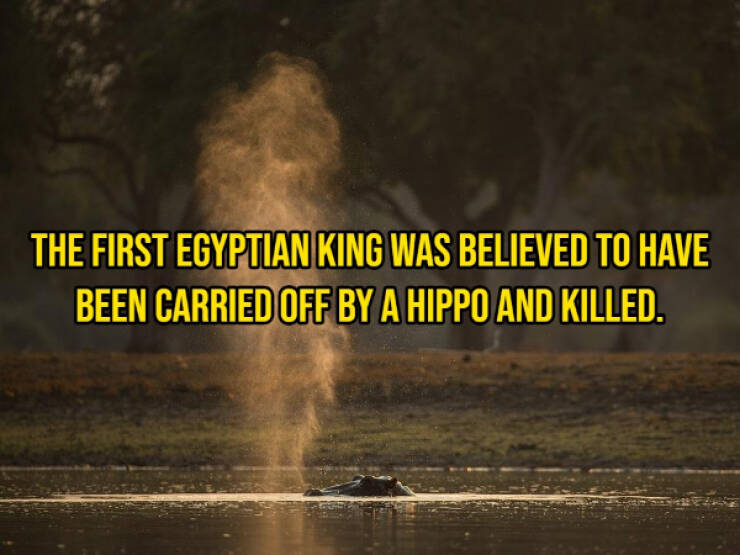 These Are Some Curious History Facts