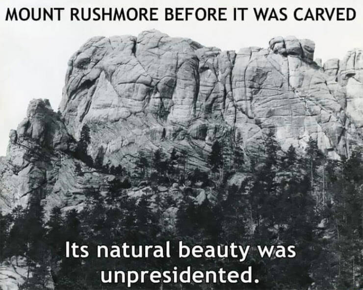 These History Memes Are Hilariously Honest