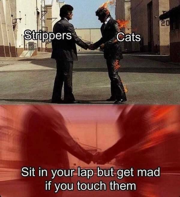 Truth, And Only Truth