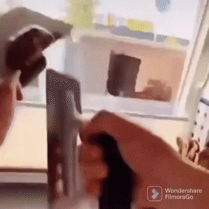 Morning Gifdump