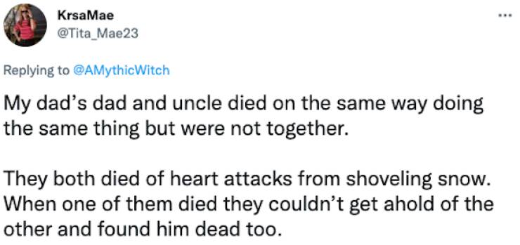 True Stories That Sound 100% Made Up