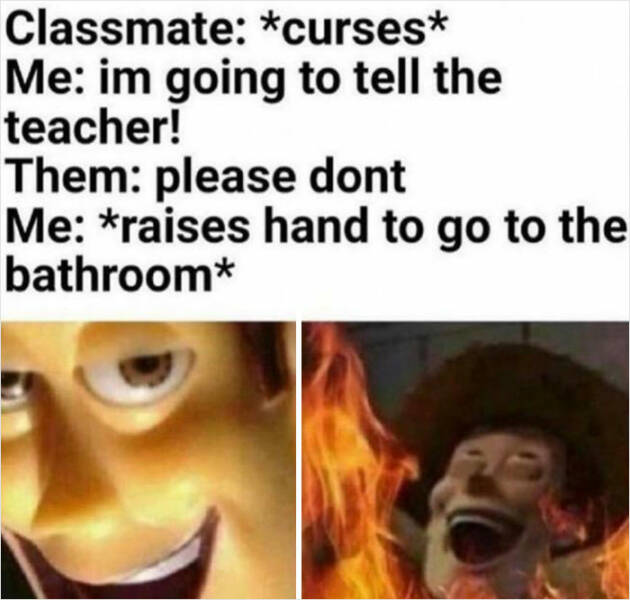 These School Memes Are Spot On!
