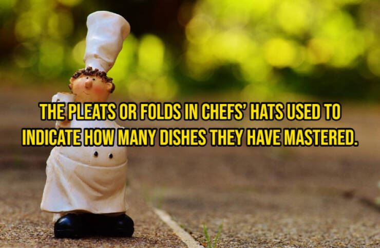 Wanna Taste Some Of These Delicious Cooking Facts?
