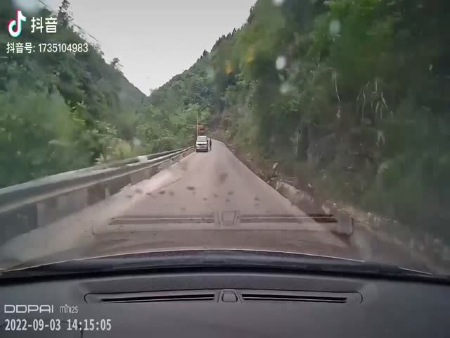 The Road’s Not Big Enough For All Of Them!