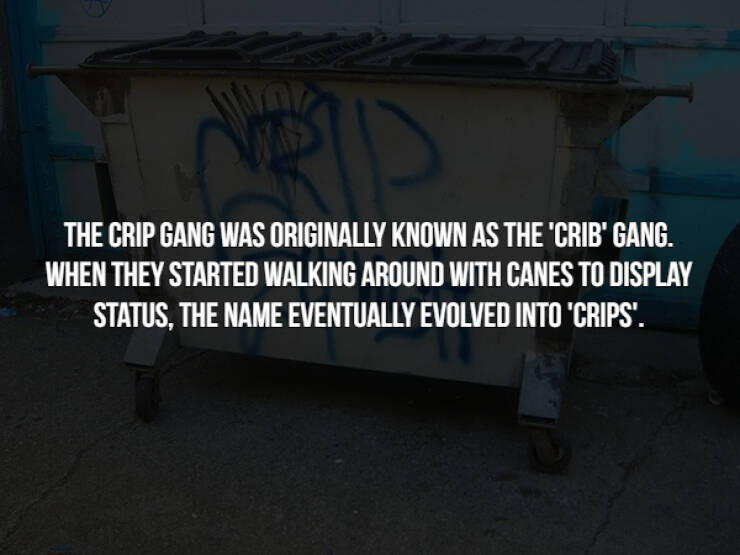 Dangerous Gangsta Facts