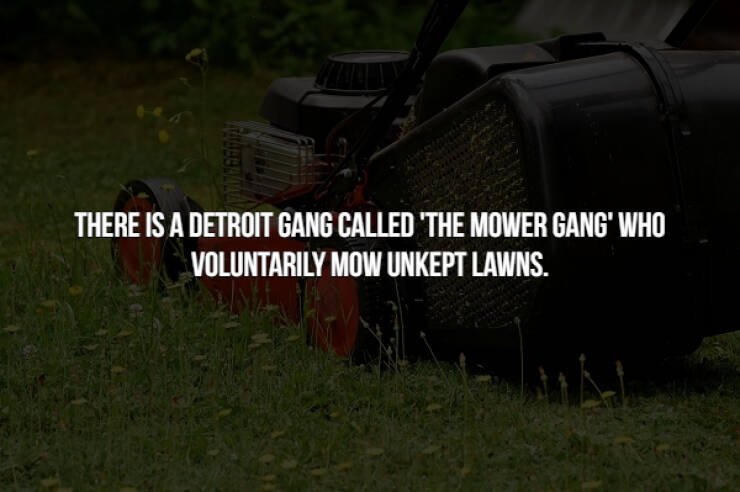 Dangerous Gangsta Facts