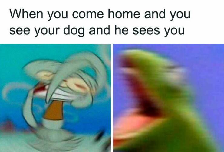 These Memes Are Both Funny And Relatable!