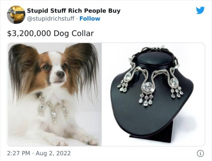 Dumb Things For Rich People To Buy…