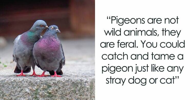 People Share The Most Wholesome Animal Facts They Know