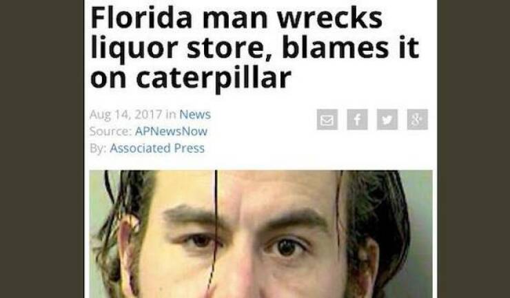 Florida Man Never Sleeps…