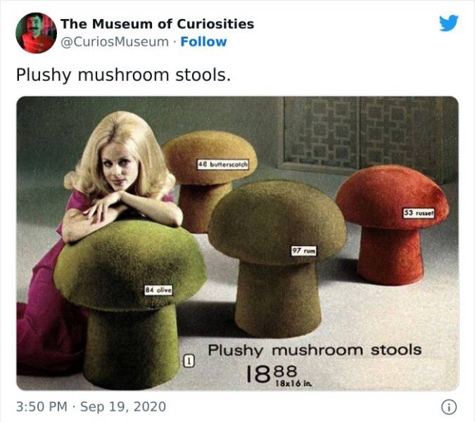 Museum Of Curious Things