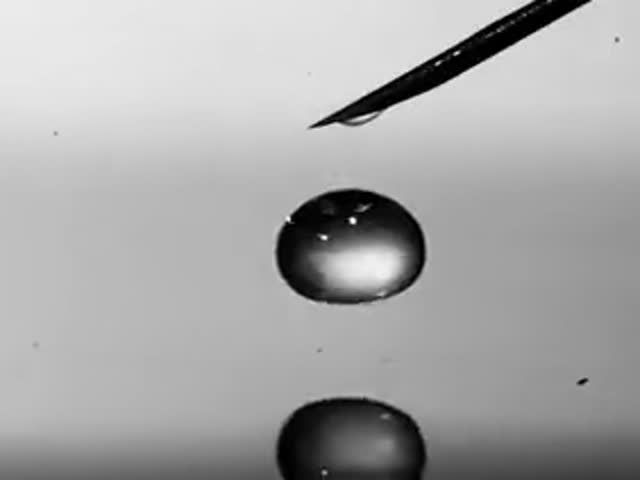 Water Drop In Slow Motion